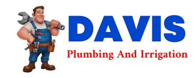 Trusted plumber in DILLINER